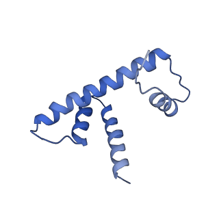 6879_5z3l_D_v1-0
Structure of Snf2-nucleosome complex in apo state