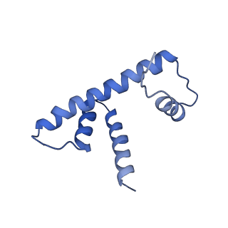 6879_5z3l_D_v1-1
Structure of Snf2-nucleosome complex in apo state