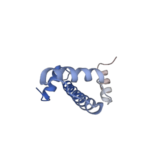 6879_5z3l_E_v1-0
Structure of Snf2-nucleosome complex in apo state