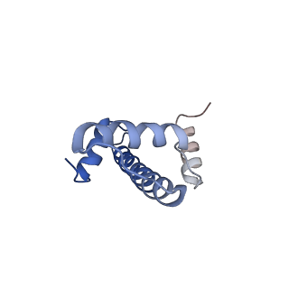 6879_5z3l_E_v1-1
Structure of Snf2-nucleosome complex in apo state