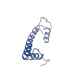 6879_5z3l_F_v1-0
Structure of Snf2-nucleosome complex in apo state