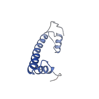 6879_5z3l_F_v1-1
Structure of Snf2-nucleosome complex in apo state