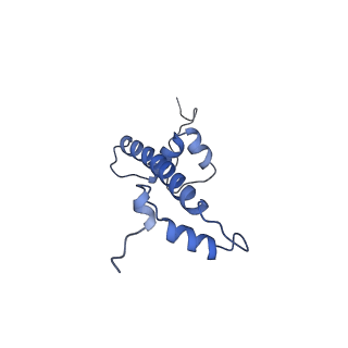 6879_5z3l_G_v1-0
Structure of Snf2-nucleosome complex in apo state