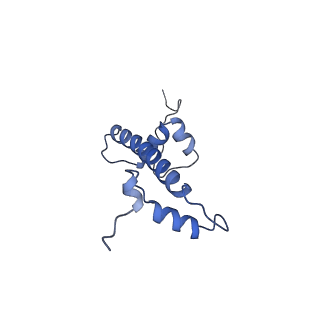 6879_5z3l_G_v1-1
Structure of Snf2-nucleosome complex in apo state