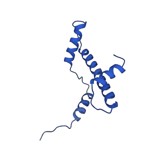 6880_5z3o_A_v1-0
Structure of Snf2-nucleosome complex in ADP state