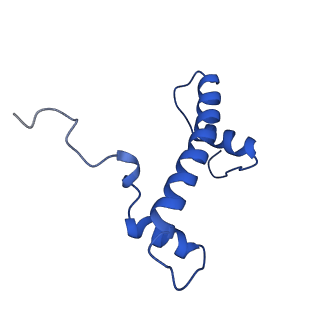 6880_5z3o_B_v1-0
Structure of Snf2-nucleosome complex in ADP state