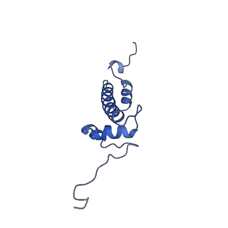 6880_5z3o_C_v1-0
Structure of Snf2-nucleosome complex in ADP state