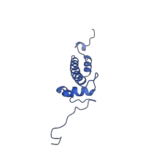 6880_5z3o_C_v1-1
Structure of Snf2-nucleosome complex in ADP state