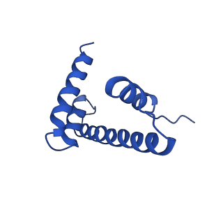 6880_5z3o_D_v1-0
Structure of Snf2-nucleosome complex in ADP state
