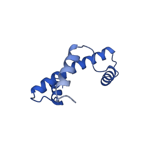 6880_5z3o_E_v1-0
Structure of Snf2-nucleosome complex in ADP state