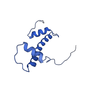 6880_5z3o_F_v1-1
Structure of Snf2-nucleosome complex in ADP state