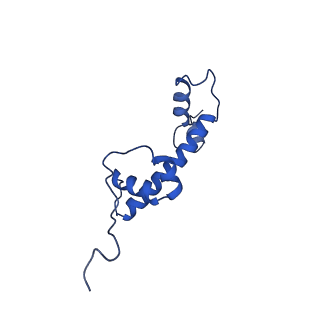 6880_5z3o_G_v1-0
Structure of Snf2-nucleosome complex in ADP state