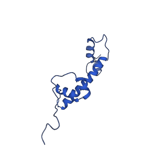 6880_5z3o_G_v1-1
Structure of Snf2-nucleosome complex in ADP state