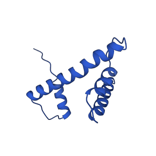 6880_5z3o_H_v1-0
Structure of Snf2-nucleosome complex in ADP state