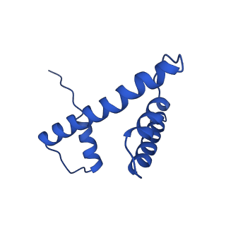 6880_5z3o_H_v1-1
Structure of Snf2-nucleosome complex in ADP state