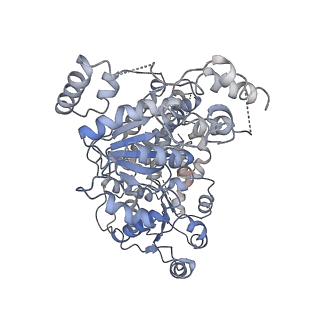 6880_5z3o_O_v1-0
Structure of Snf2-nucleosome complex in ADP state