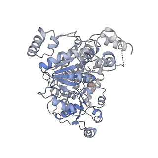 6880_5z3o_O_v1-1
Structure of Snf2-nucleosome complex in ADP state