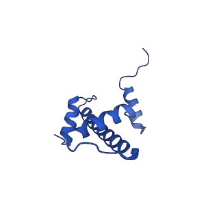6882_5z3u_A_v1-1
Structure of Snf2-nucleosome complex at shl2 in ADP BeFx state