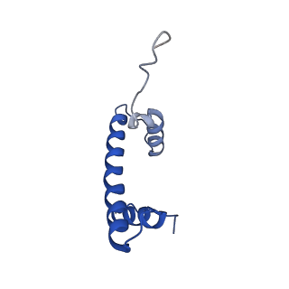 6882_5z3u_B_v1-1
Structure of Snf2-nucleosome complex at shl2 in ADP BeFx state