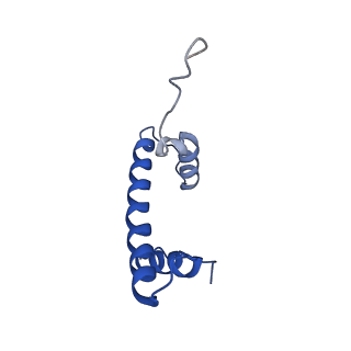 6882_5z3u_B_v1-2
Structure of Snf2-nucleosome complex at shl2 in ADP BeFx state