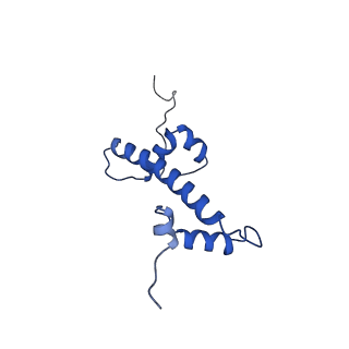 6882_5z3u_C_v1-1
Structure of Snf2-nucleosome complex at shl2 in ADP BeFx state