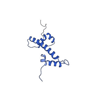 6882_5z3u_C_v1-2
Structure of Snf2-nucleosome complex at shl2 in ADP BeFx state