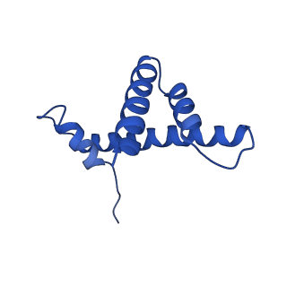 6882_5z3u_D_v1-1
Structure of Snf2-nucleosome complex at shl2 in ADP BeFx state