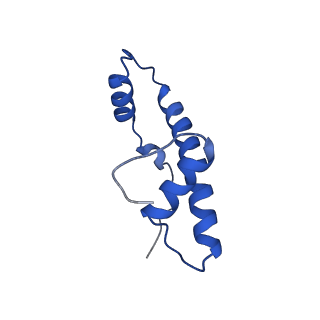 6882_5z3u_F_v1-1
Structure of Snf2-nucleosome complex at shl2 in ADP BeFx state