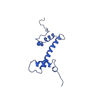 6882_5z3u_G_v1-1
Structure of Snf2-nucleosome complex at shl2 in ADP BeFx state