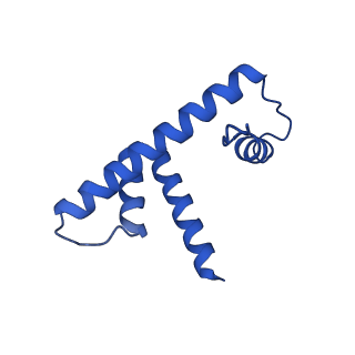 6882_5z3u_H_v1-2
Structure of Snf2-nucleosome complex at shl2 in ADP BeFx state