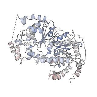 6882_5z3u_O_v1-1
Structure of Snf2-nucleosome complex at shl2 in ADP BeFx state