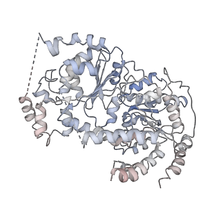 6882_5z3u_O_v1-2
Structure of Snf2-nucleosome complex at shl2 in ADP BeFx state