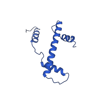 6883_5z3v_A_v1-1
Structure of Snf2-nucleosome complex at shl-2 in ADP BeFx state