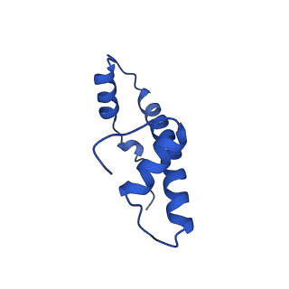 6883_5z3v_B_v1-1
Structure of Snf2-nucleosome complex at shl-2 in ADP BeFx state