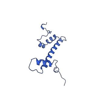 6883_5z3v_C_v1-1
Structure of Snf2-nucleosome complex at shl-2 in ADP BeFx state