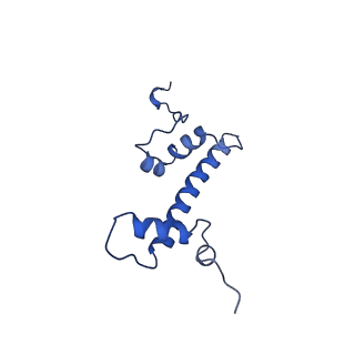 6883_5z3v_C_v1-2
Structure of Snf2-nucleosome complex at shl-2 in ADP BeFx state