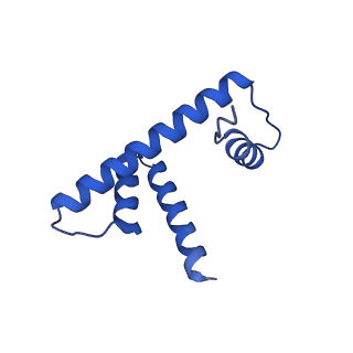 6883_5z3v_D_v1-2
Structure of Snf2-nucleosome complex at shl-2 in ADP BeFx state