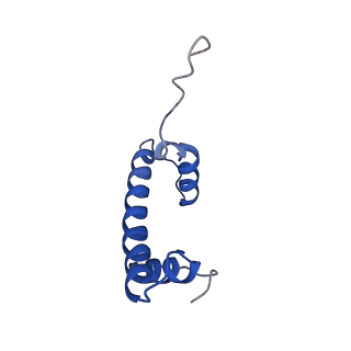 6883_5z3v_F_v1-1
Structure of Snf2-nucleosome complex at shl-2 in ADP BeFx state
