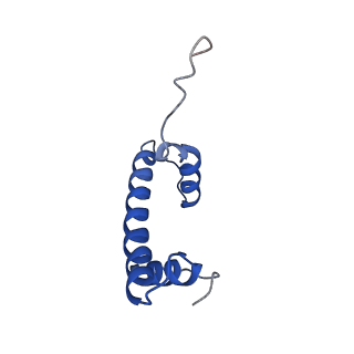 6883_5z3v_F_v1-2
Structure of Snf2-nucleosome complex at shl-2 in ADP BeFx state