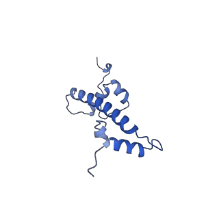 6883_5z3v_G_v1-2
Structure of Snf2-nucleosome complex at shl-2 in ADP BeFx state