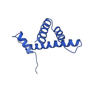 6883_5z3v_H_v1-2
Structure of Snf2-nucleosome complex at shl-2 in ADP BeFx state