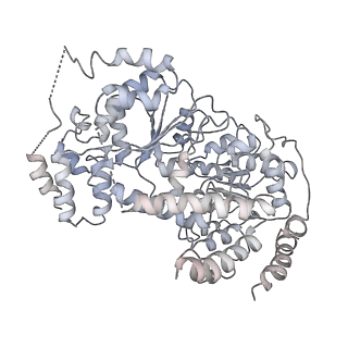 6883_5z3v_O_v1-1
Structure of Snf2-nucleosome complex at shl-2 in ADP BeFx state