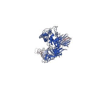 11068_6z43_A_v1-0
Cryo-EM Structure of SARS-CoV-2 Spike : H11-D4 Nanobody Complex