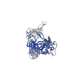 11068_6z43_C_v1-0
Cryo-EM Structure of SARS-CoV-2 Spike : H11-D4 Nanobody Complex