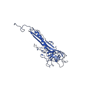 14484_7z45_A_v1-1
Central part (C10) of bacteriophage SU10 capsid