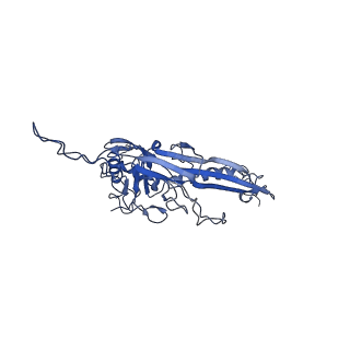 14484_7z45_E_v1-1
Central part (C10) of bacteriophage SU10 capsid