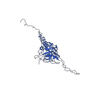 14484_7z45_L_v1-1
Central part (C10) of bacteriophage SU10 capsid