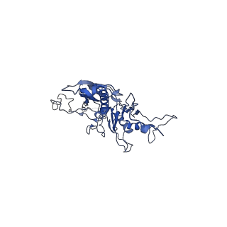 14484_7z45_N_v1-1
Central part (C10) of bacteriophage SU10 capsid