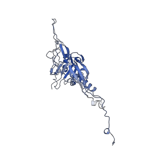14484_7z45_P_v1-1
Central part (C10) of bacteriophage SU10 capsid