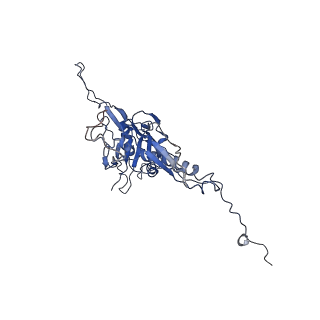 14484_7z45_R_v1-1
Central part (C10) of bacteriophage SU10 capsid